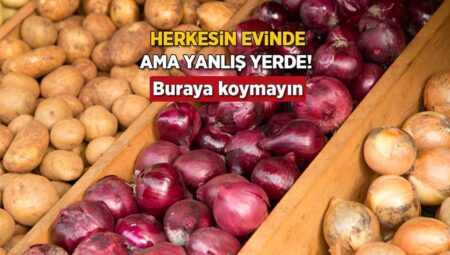 Buzdolabına girince kendini salıyor! Soğanı mahveden yanılgı, ne tadı kalıyor ne vitamini