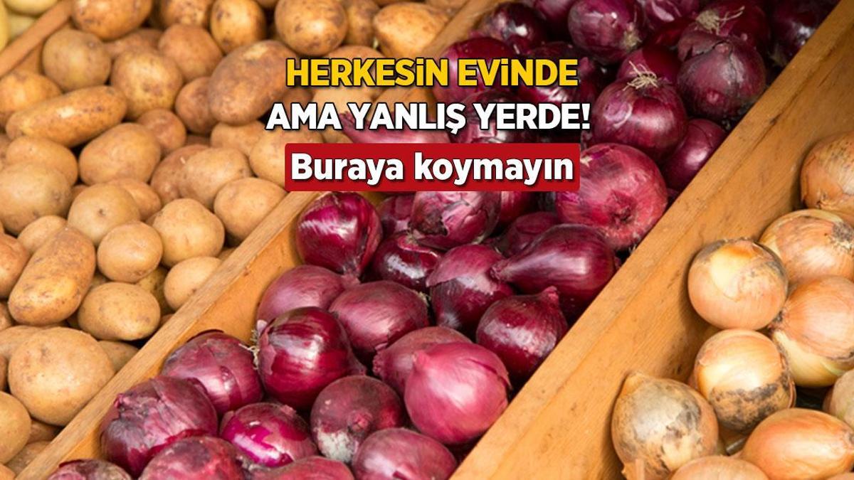 Buzdolabına girince kendini salıyor! Soğanı mahveden yanılgı, ne tadı kalıyor ne vitamini
