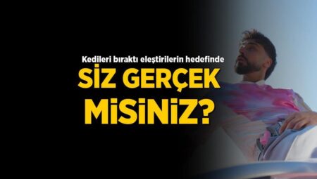 Kedilerini bırakan Sefo tenkitlerin hedefinde! ‘Siz gerçek misiniz?’