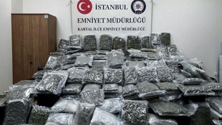 Petshopa şok baskın! Tam 50 milyon lira bedelinde