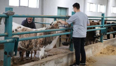 Taş duvar ahırda başlamıştı! Devlet takviyesiyle çağdaş tesis kurdu!