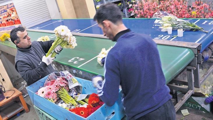 100 milyon kol çiçek satılacak