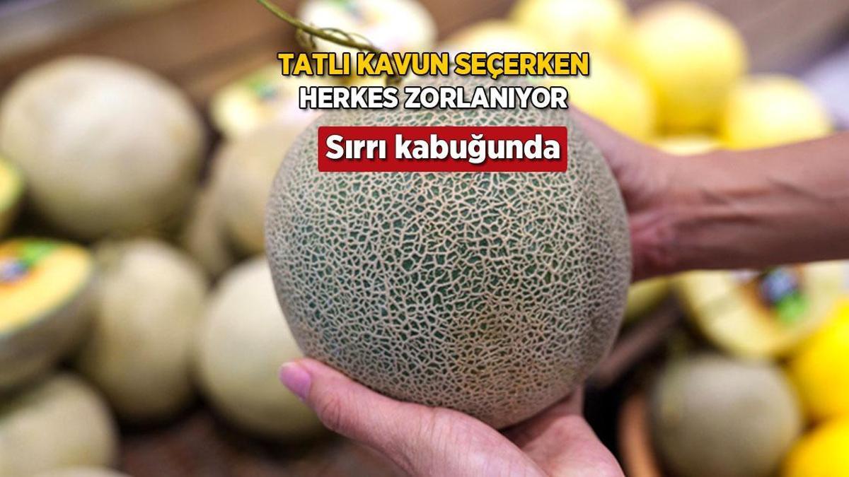 Bal üzere kavun kabuğundan muhakkak olur! Sap kısmı yumuşaksa kaçırmayın