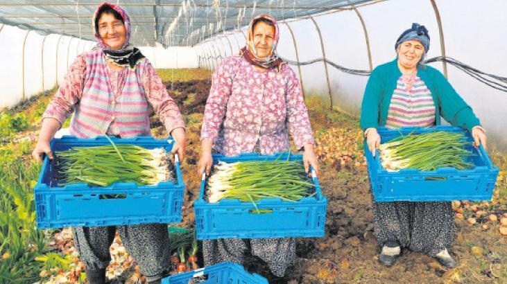 Besin güvenliği için ‘gençlik’ harekâtı!