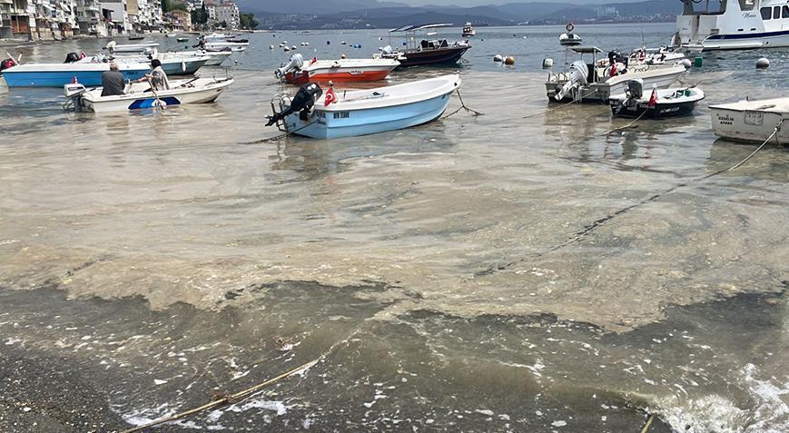 Kabus geri mi dönüyor? Marmara Denizi’nde korkutan manzara