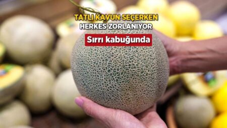 Şeker üzere kavun kendini kabuğundan muhakkak ediyor! Sap kısmı yumuşaksa kaçırmayın