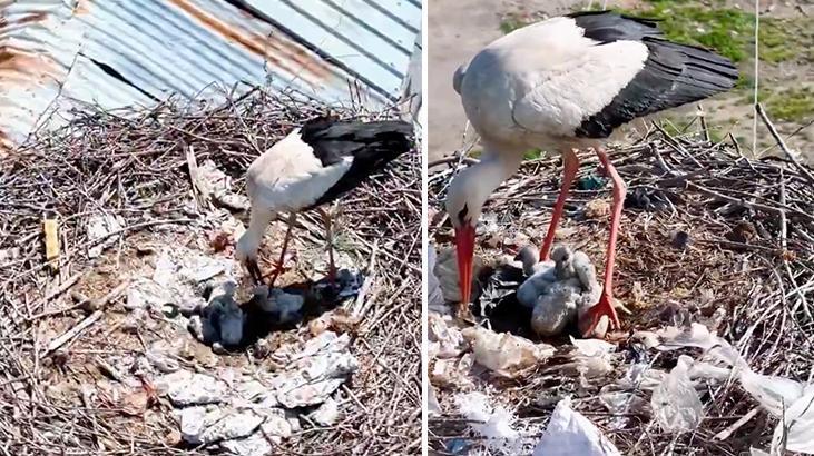 Tam zamanında mucize! Köyü terk etmediler Anneler Günü’nde ‘anne’ oldular