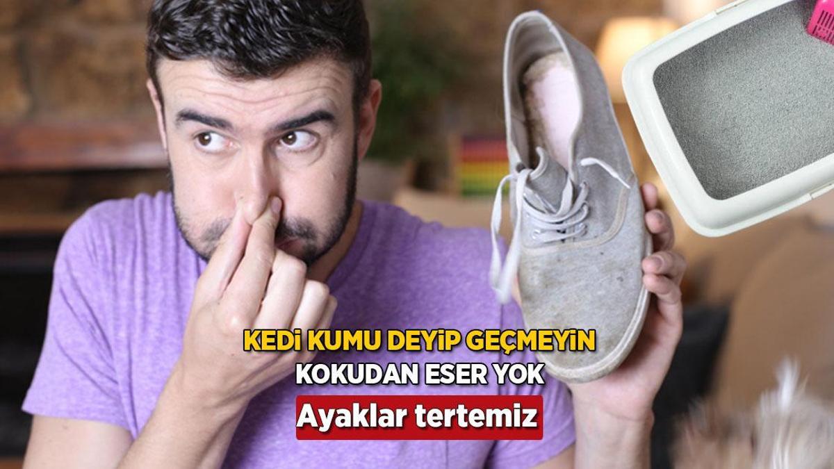 Utandıran ayak kokusunu yok ediyor! Kedi kumunu ayakkabıya serpin, deneyen şaşkın
