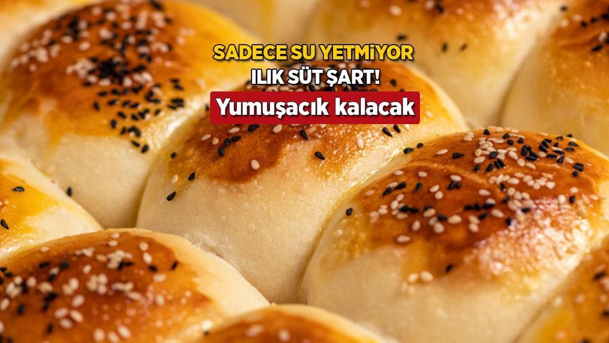 Yalnızca su yetmez, ılık süt şart! Poğaçanın tadını da dokusunu da değiştiren tanım