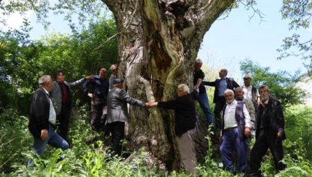 50 teneke hasar yapıldı, yedi kişi 7 kişi el ele tutuşup sarıldı: Hiç kurumaya niyeti yok