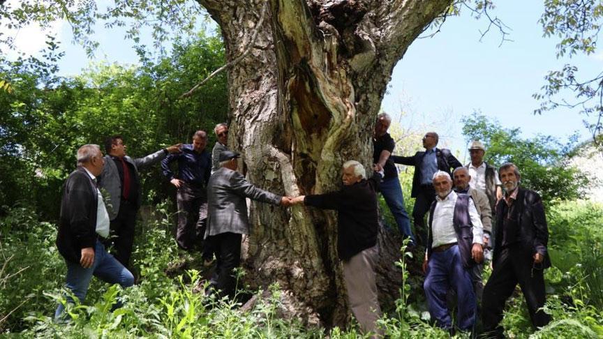 50 teneke hasar yapıldı, yedi kişi 7 kişi el ele tutuşup sarıldı: Hiç kurumaya niyeti yok