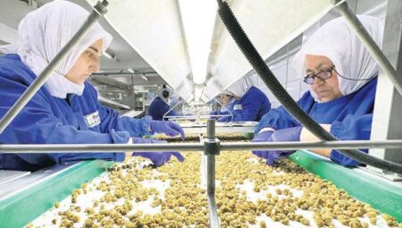 500 büyük şirketin 111’i besin işliyor