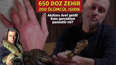 650 doz zehir, 200 ölümcül ısırık! Akıllara Aref geldi: Kanı hakikaten panzehir mi?