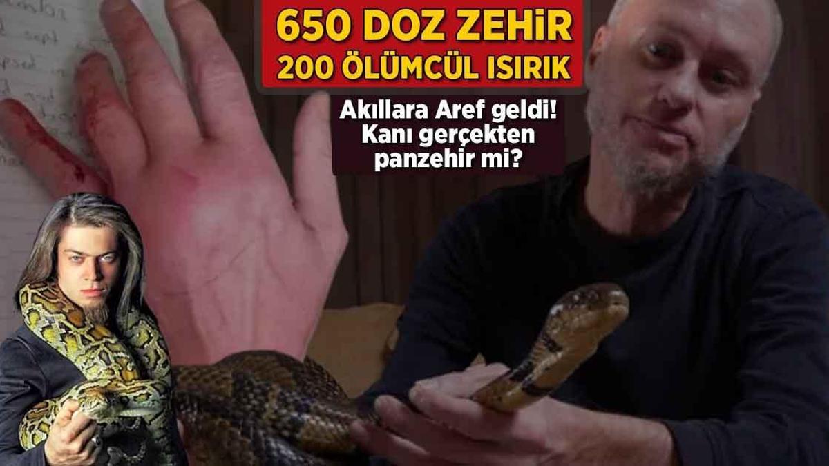 650 doz zehir, 200 ölümcül ısırık! Akıllara Aref geldi: Kanı hakikaten panzehir mi?
