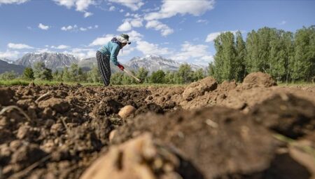 Çiftçilere 3,3 milyar lira takviye ödemesi bugün yapılacak
