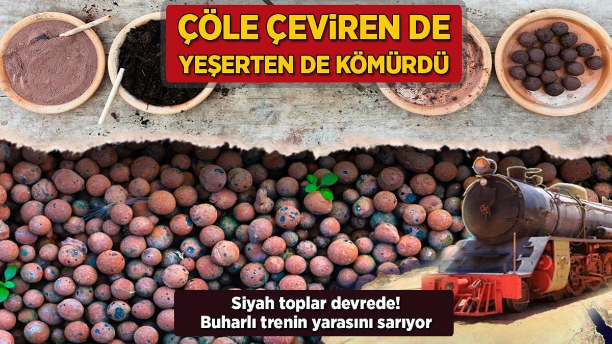 Çöle çeviren de yeşerten de kömür! Siyah toplar devrede: Buharlı trenin yarasını sarıyor