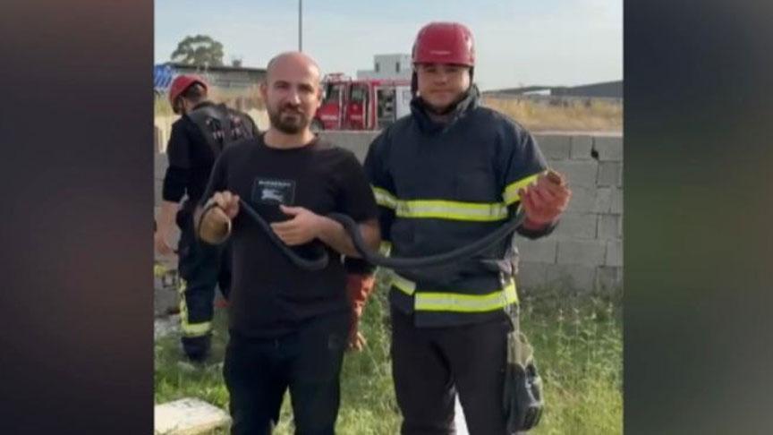 Dev panik! Yılanı gören telefona sarıldı, metrelerce uzunlukta…