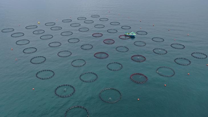 Doğu Karadeniz’in 4 aylık su eserleri ihracatı 47,8 milyon doları aştı