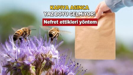 Kapıya asın, arılar yaz uzunluğu uğramasın! En nefret ettikleri koku, çabucak kaçıyorlar