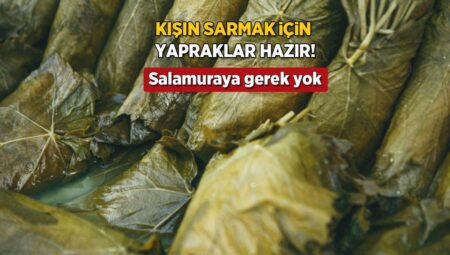 Kışın sarma sarmak isteyen yazdan saklasın! Tuza gerek yok, yapraklar birinci günki üzere
