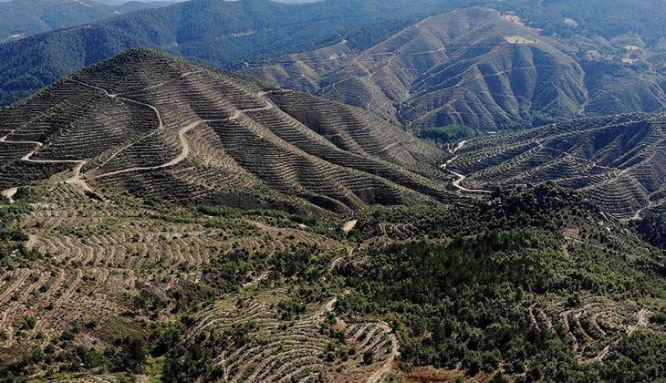 Kütahya’da ormanlara giriş yasağı