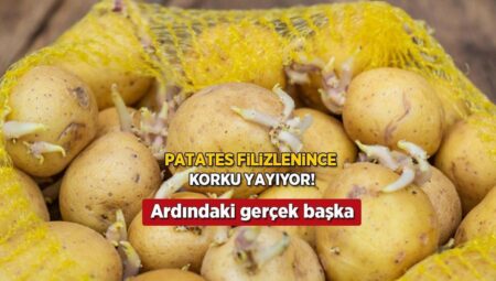 Patates filizlendi diye çöpe gitmesin! İşareti kabukta, tüketme kaidesi buymuş