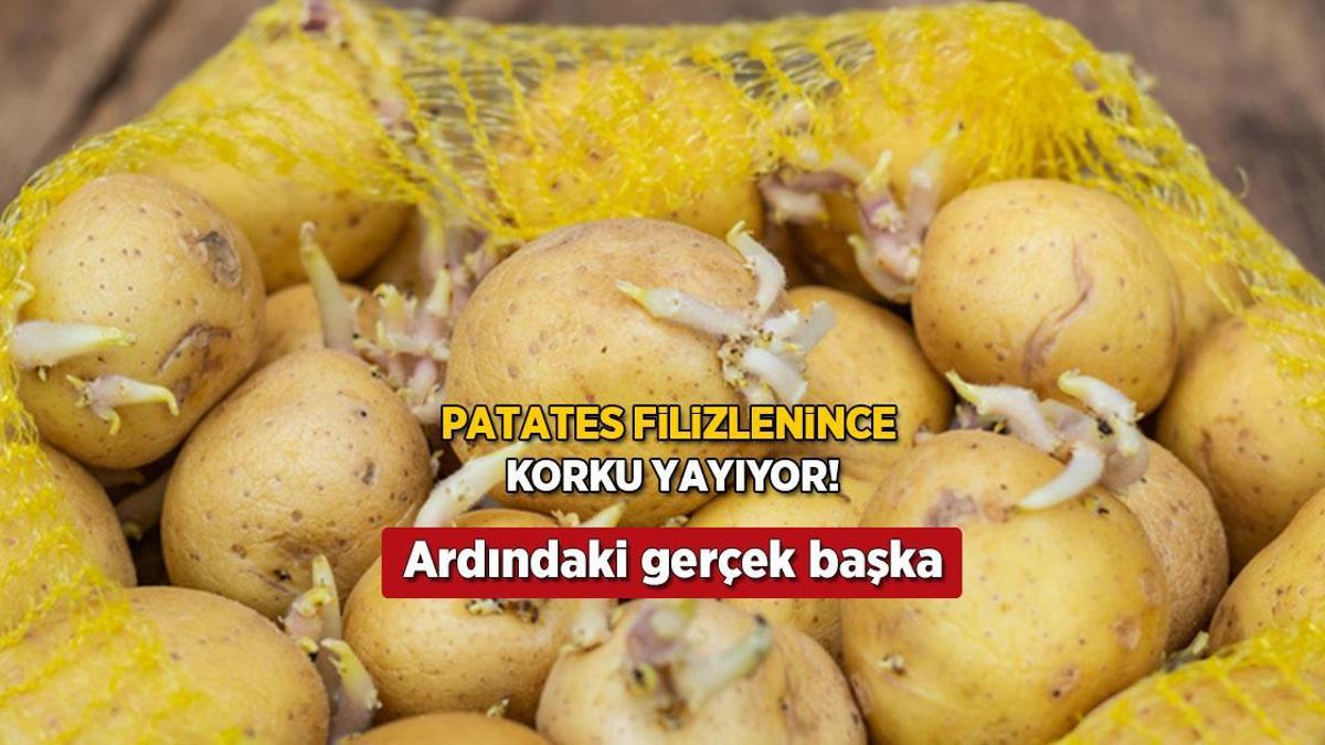 Patates filizlendi diye çöpe gitmesin! Kabuğu ele veriyor, tüketme koşulu bakın neymiş
