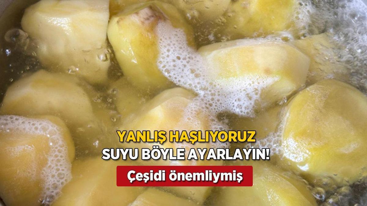 Patatesi daima yanlış haşladık! Kaynar su kuralmış, lezzet tavan yapıyor